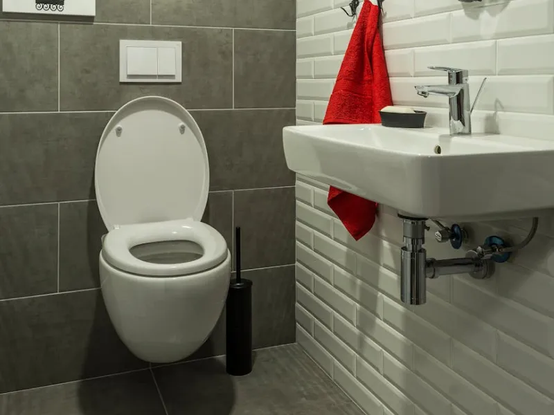 toilet pipe plumbing